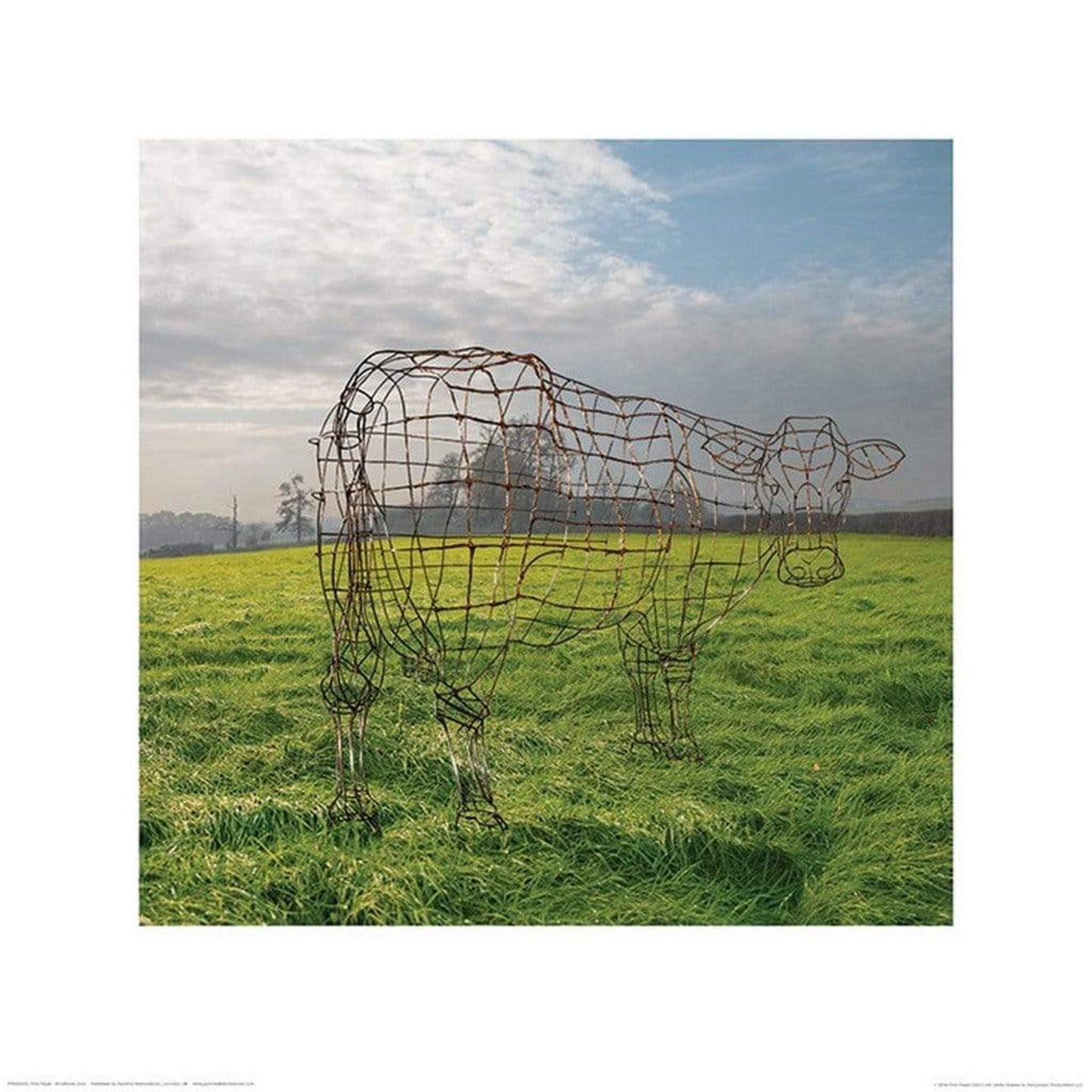 Art Print Pink Floyd - Wireframe Cow 40x40cm