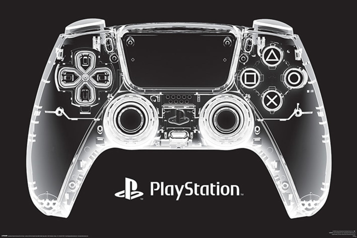 Poster PlayStation x-Ray Pad 91,5x61cm