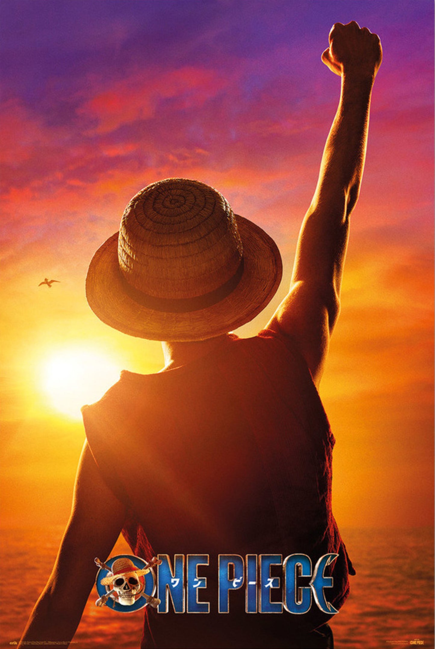 Poster One Piece - Netflix Monkey D Luffy 61x91,5cm