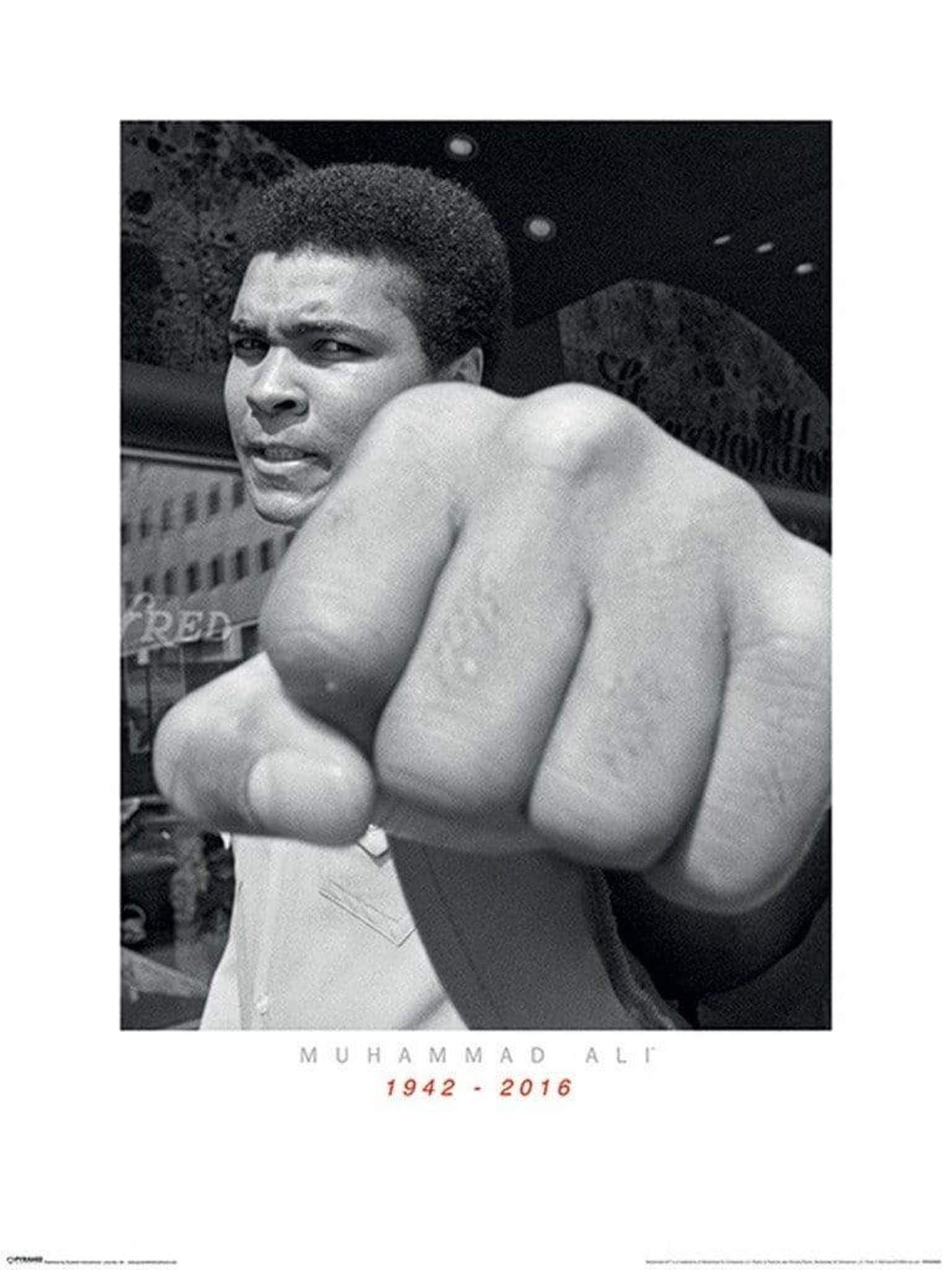 Art Print Muhammad Ali - Commemorative Punch 60x80cm