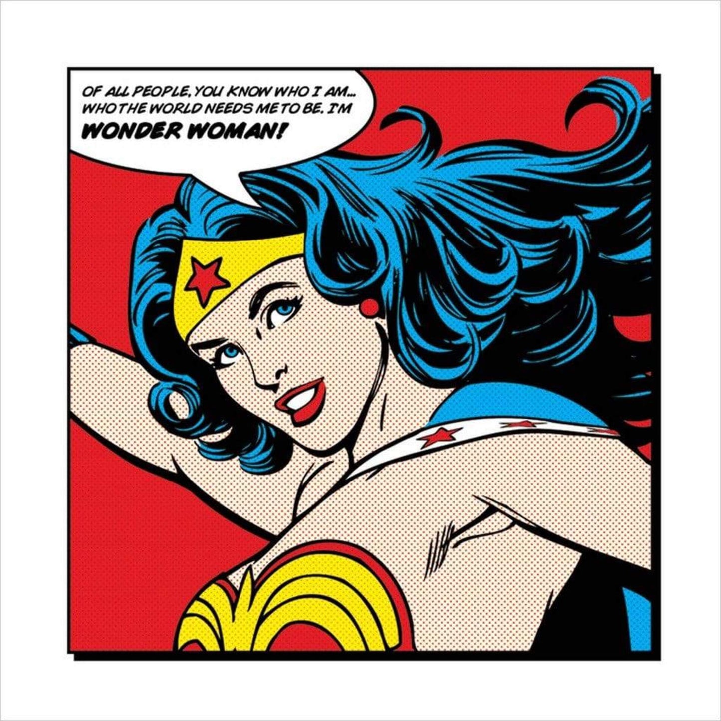 Art Print Wonder Woman - of all People 40x40cm