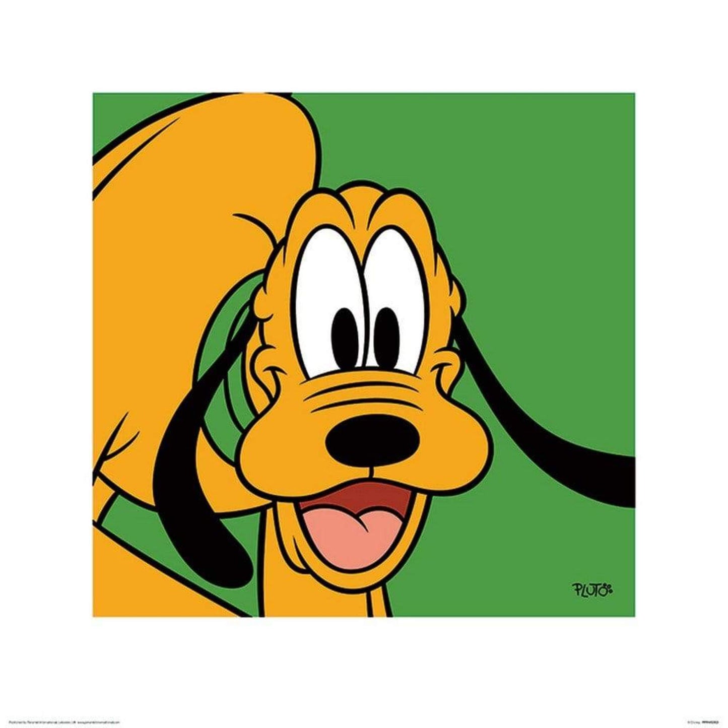 Art Print Pluto Green 40x40cm
