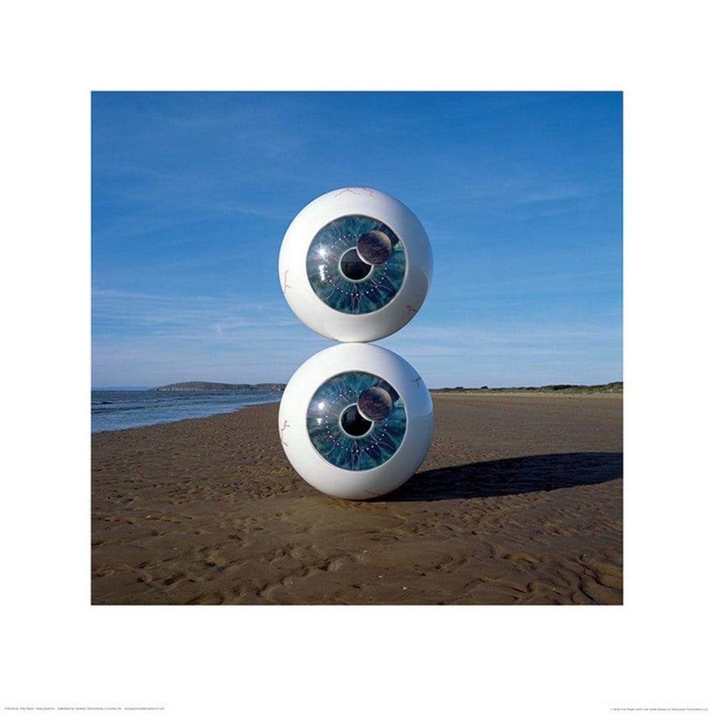 Art Print Pink Floyd - Pulse Eyeballs 40x40cm