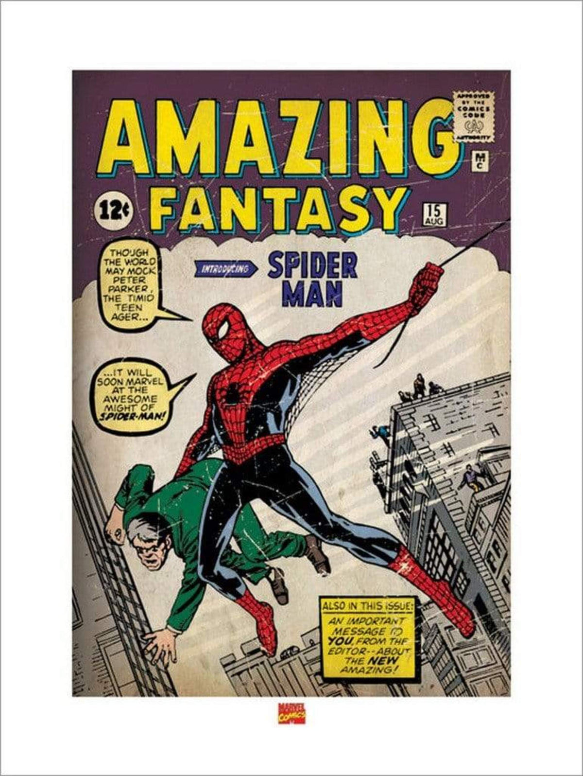 Art Print Spider-Man - Issue 1 60x80cm