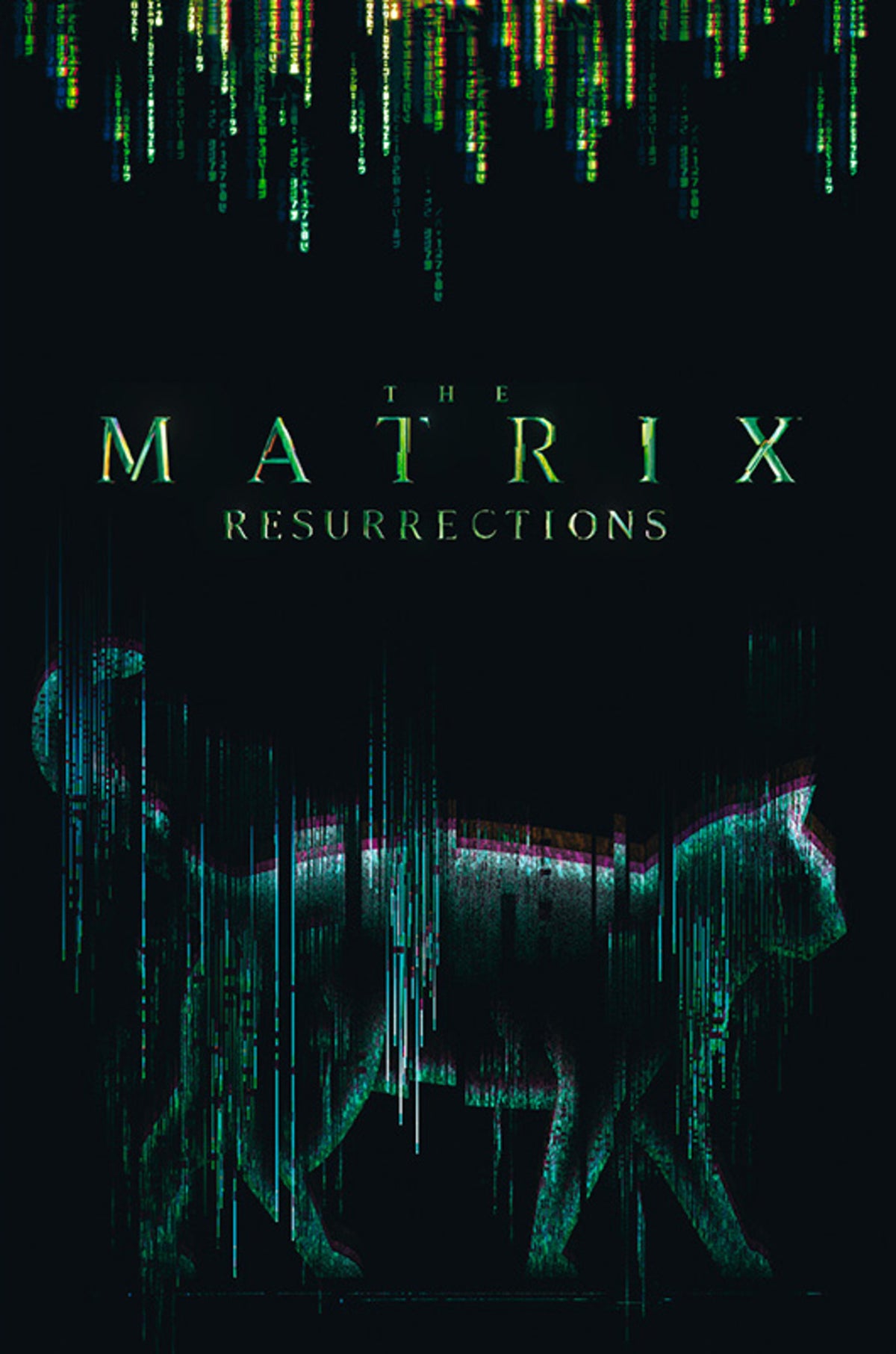 Poster The Matrix - Cat 61x91,5cm
