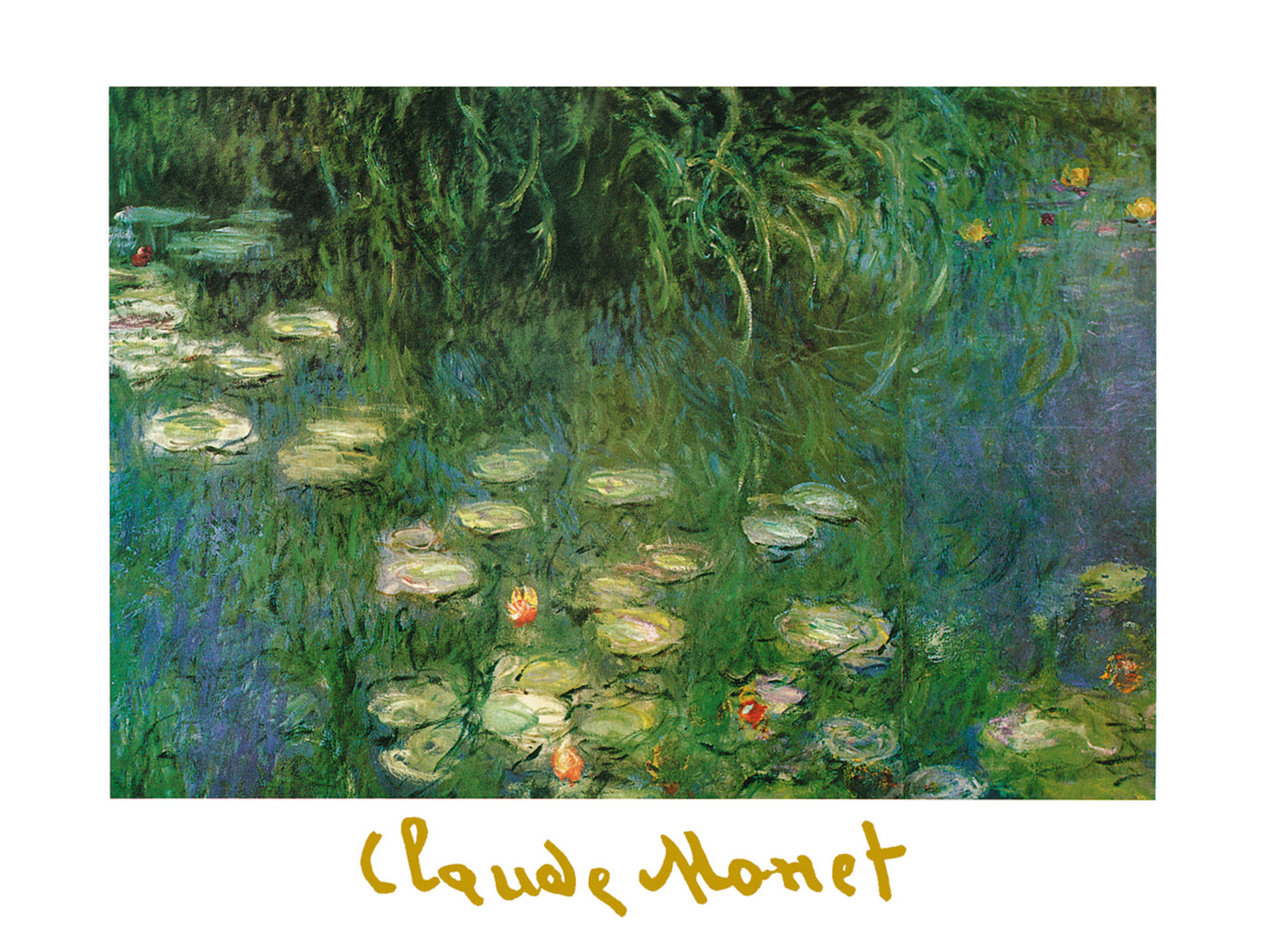 Art Print Claude Monet - Ninfee dell'Orangerie 80x60cm
