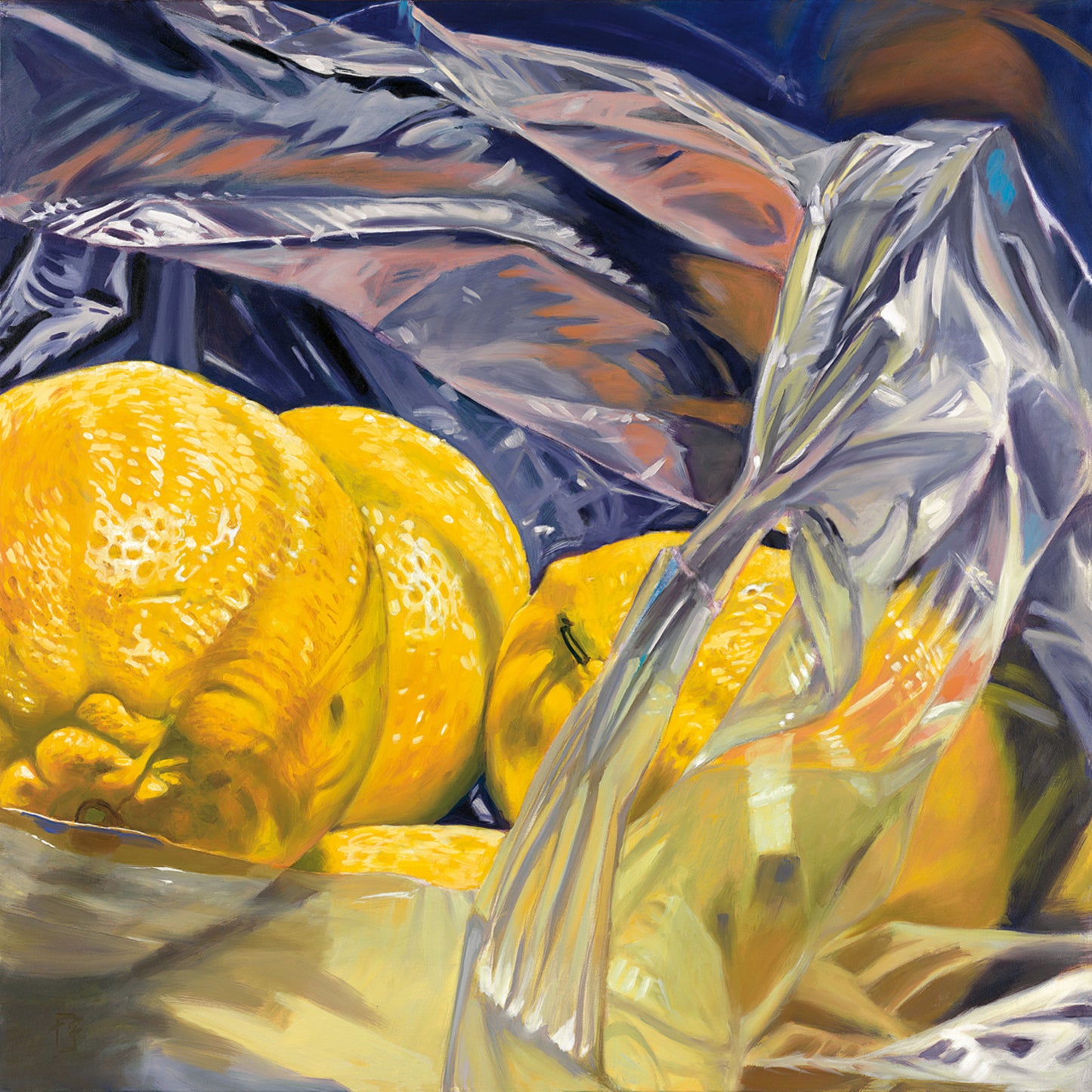 Art Print Thomas Freund - Lemon bag 98x98cm