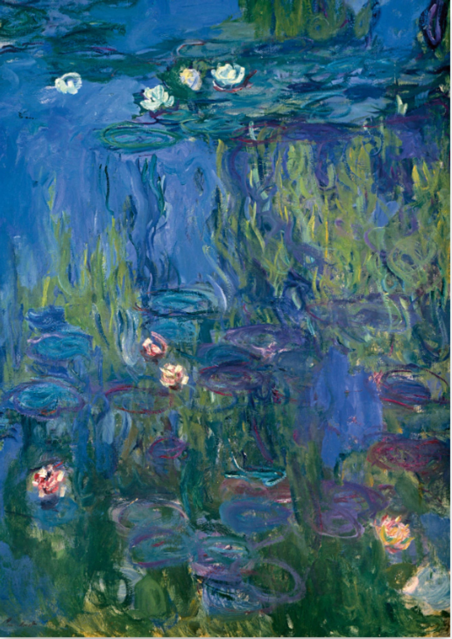 Art Print Claude Monet - Nympheas 21x30cm