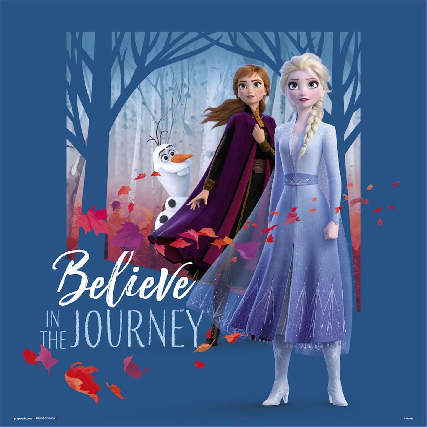 Art Print Frozen Believe in the Journey 30x30cm