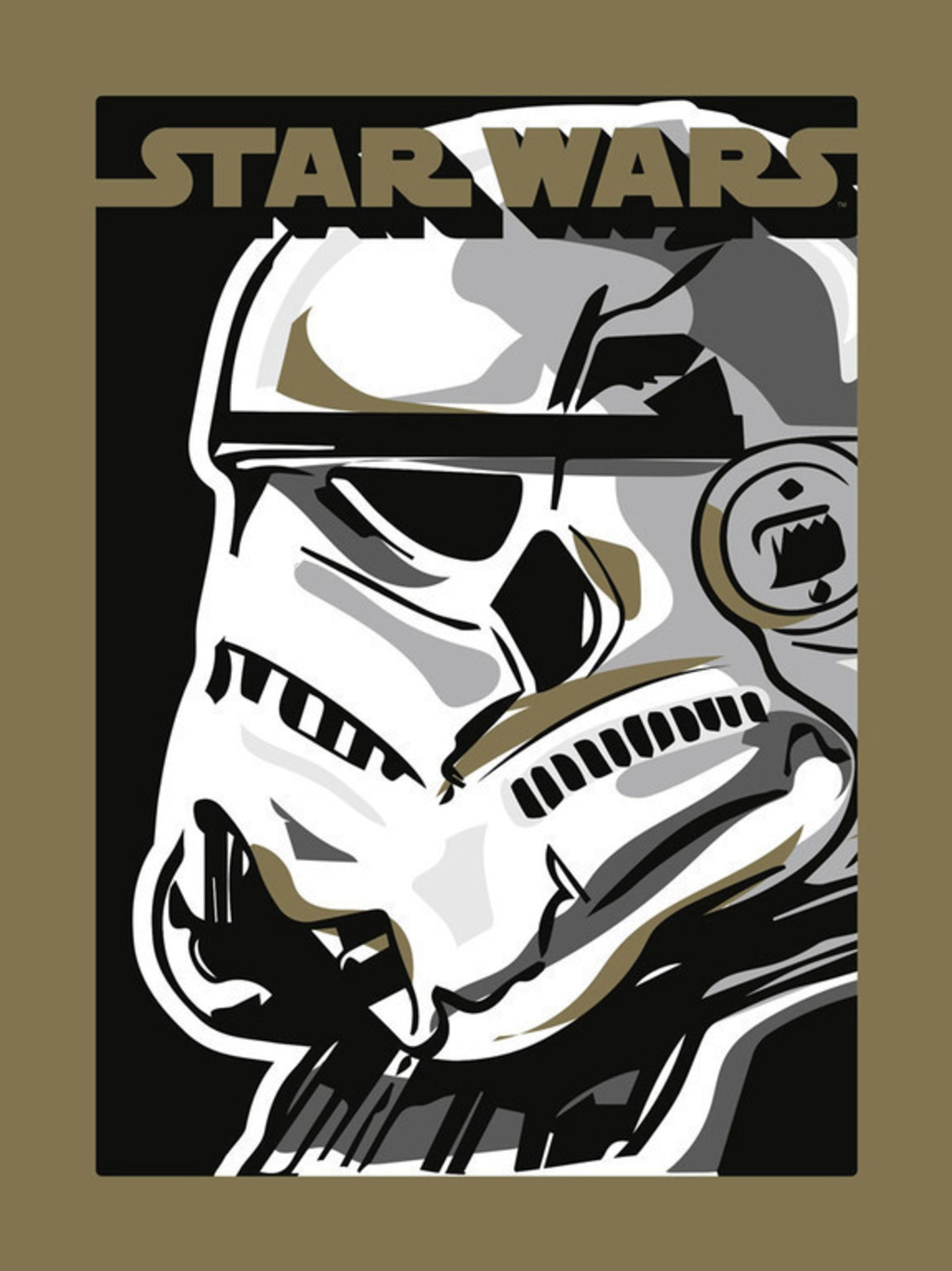 Art Print Star Wars Stormtrooper 30x40cm