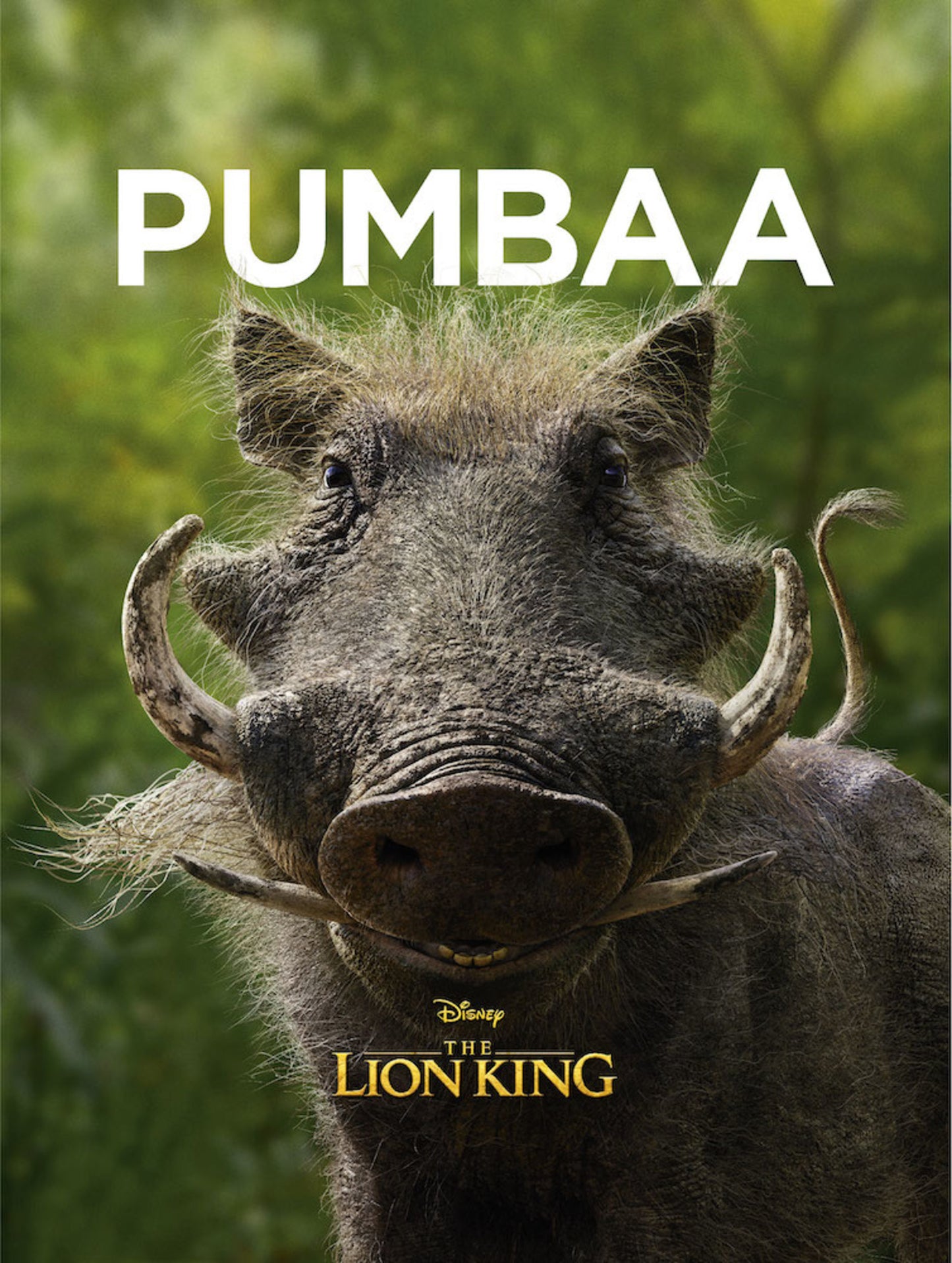 Art Print Disney Lion King Pumbaa 30x40cm