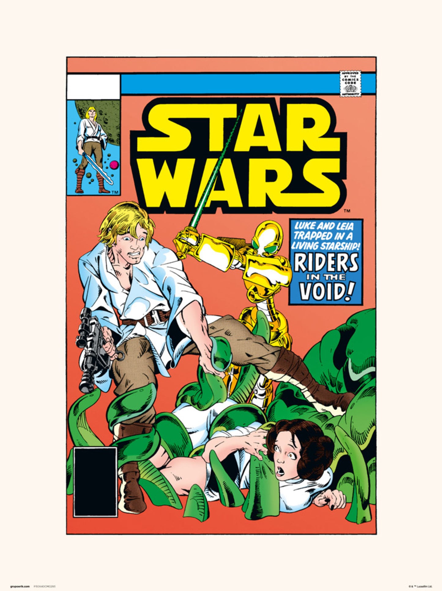 Art Print Star Wars 38 Riders In The Void 30x40cm