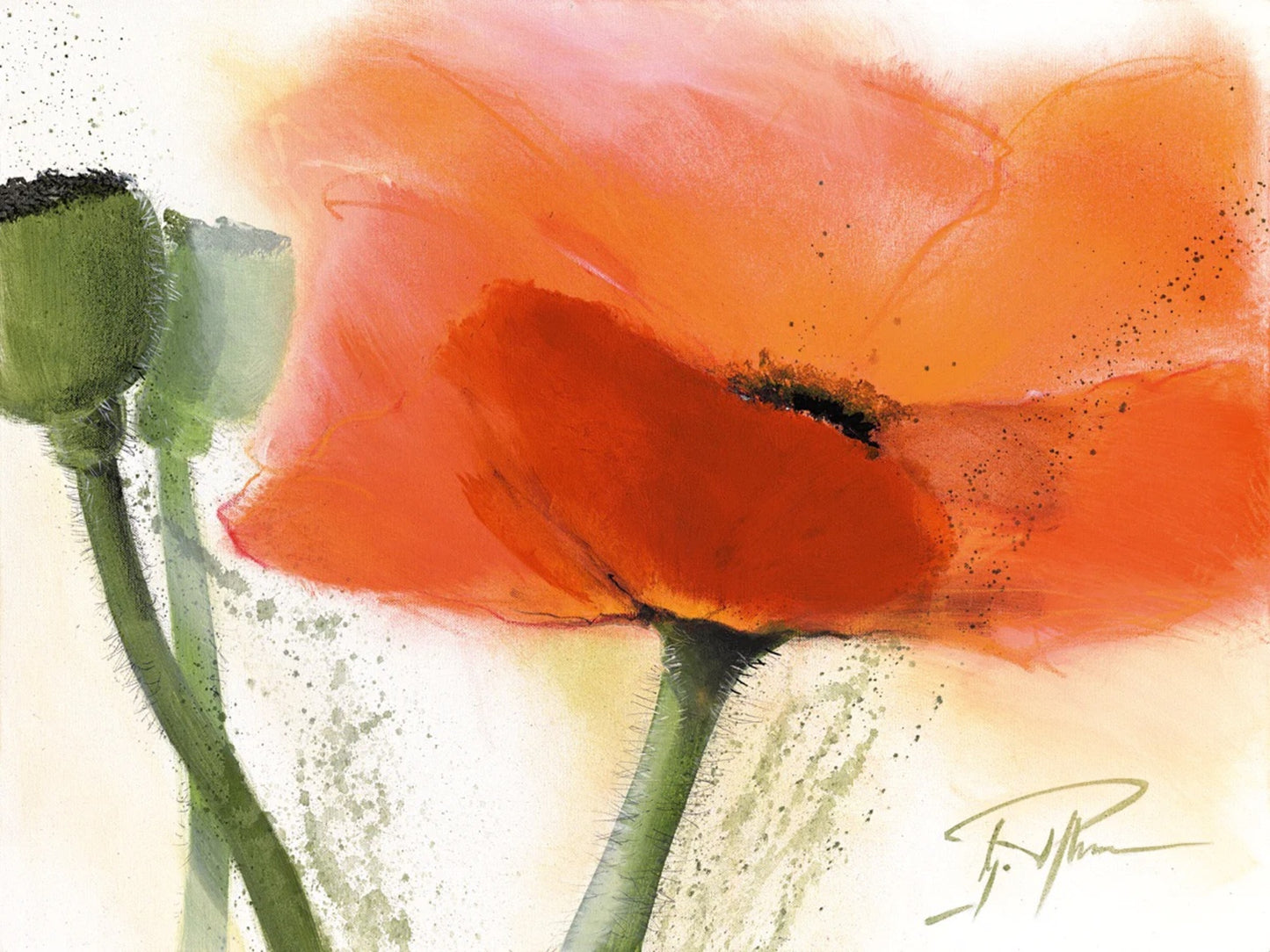 Art Print Gerd Pflumm - Faszination Mohn III 80x60cm