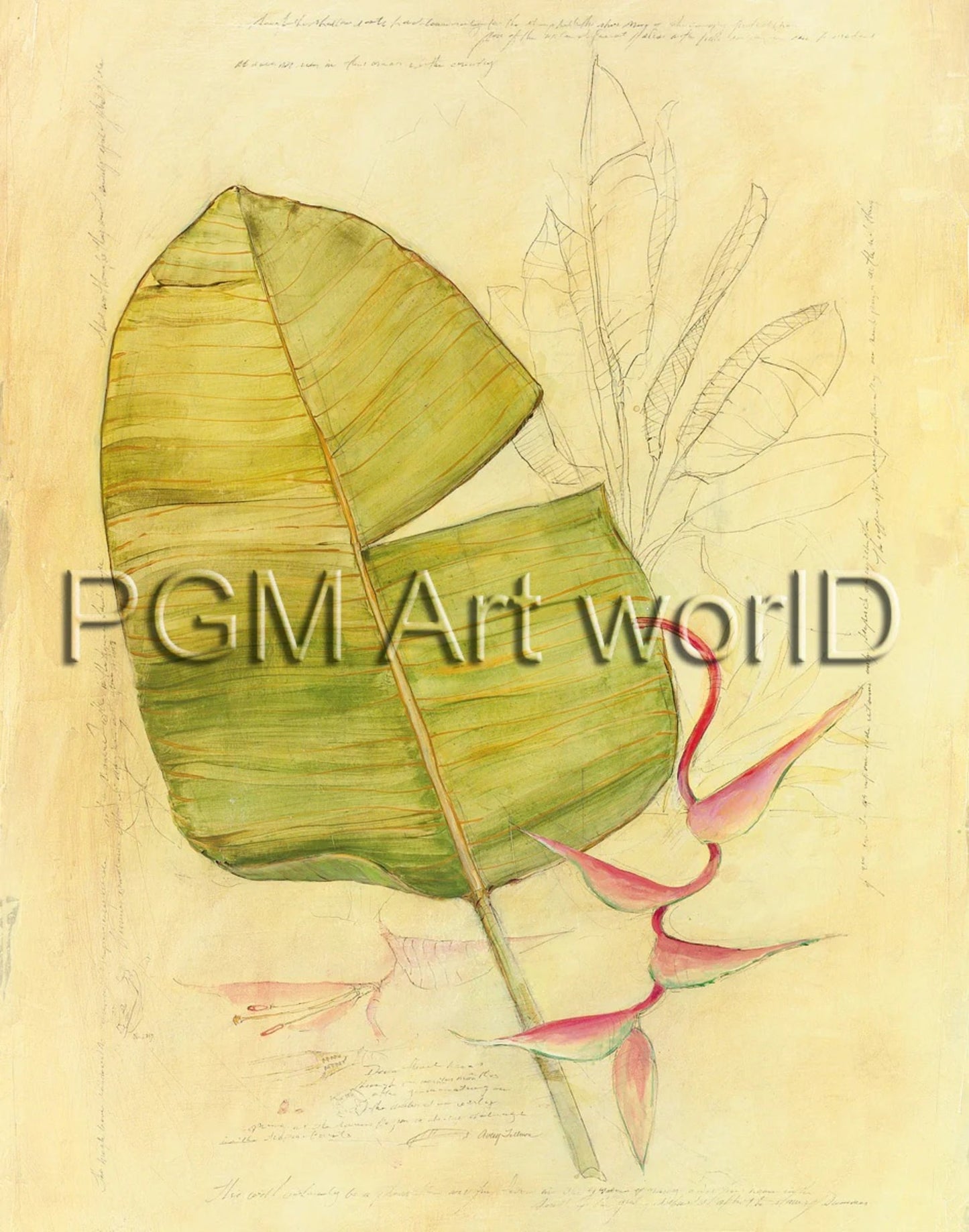 Art Print Avery Tillmon - Botanical Journal I 56x71cm