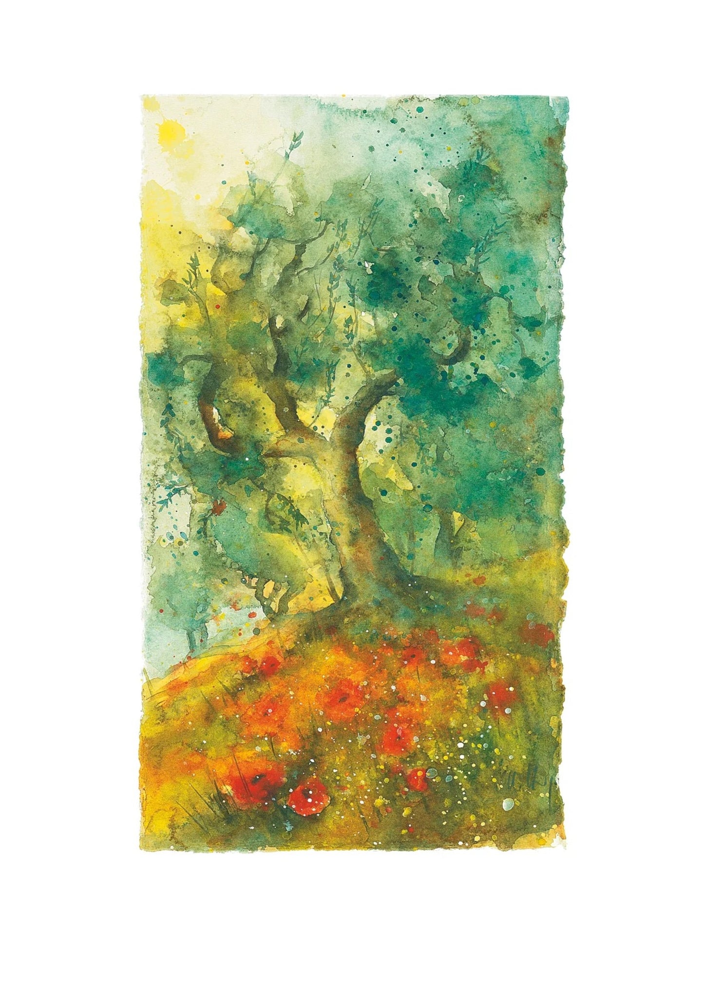 Art Print Ulrich Hartig - Oliven und Mohn 50x70cm