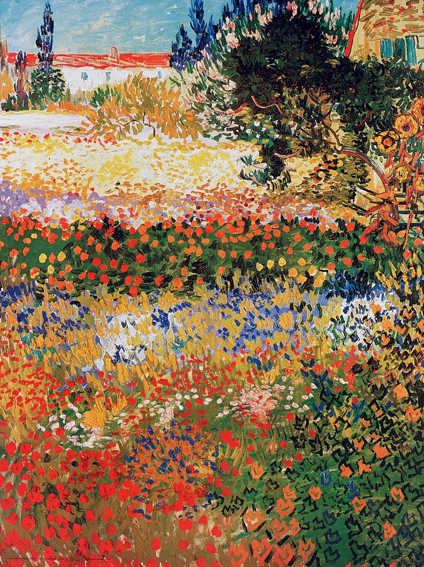 Art Print Vincent Van Gogh - Giardino fiorito 60x80cm