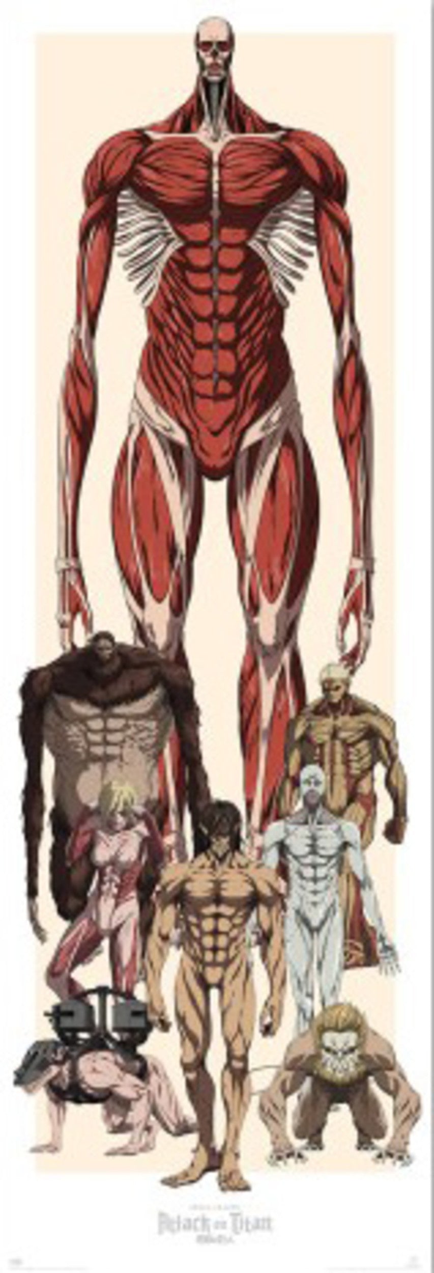 Poster Attack on Titan - 53x158cm