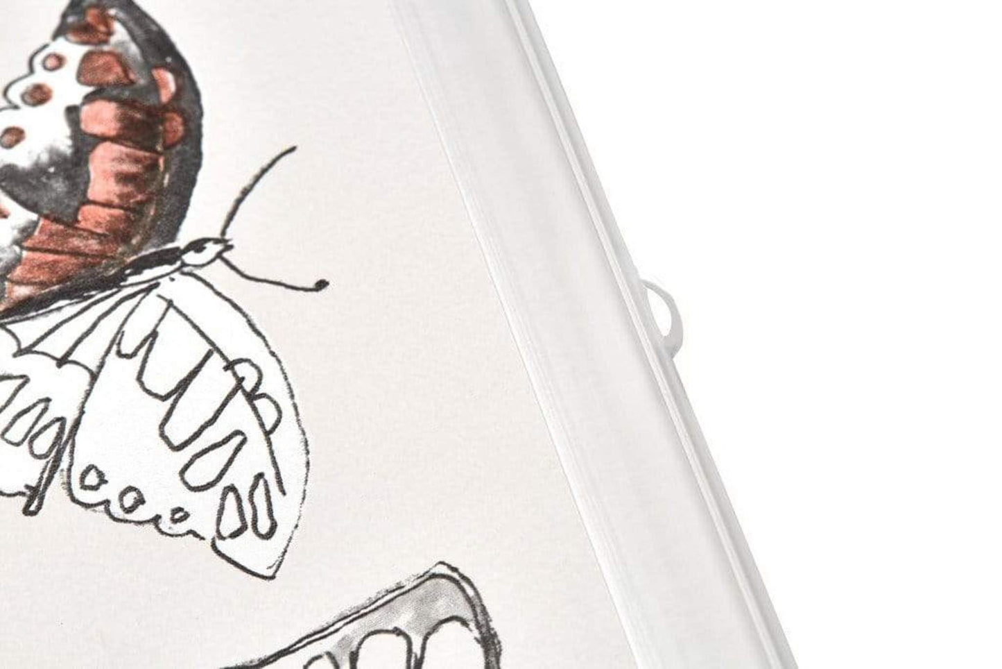 Poster Hangers Transparent 90cm - Strips with hanging Eyelets