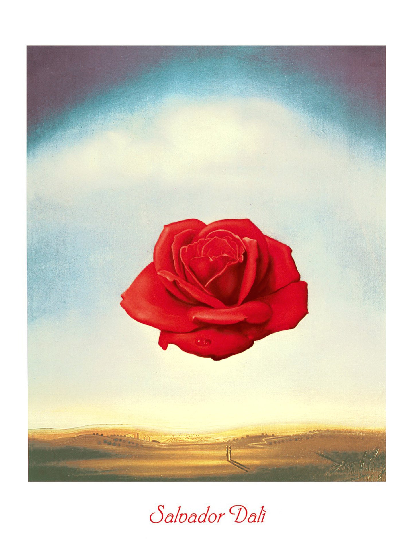 Art Print Salvador Dali - Rose meditative 60x80cm