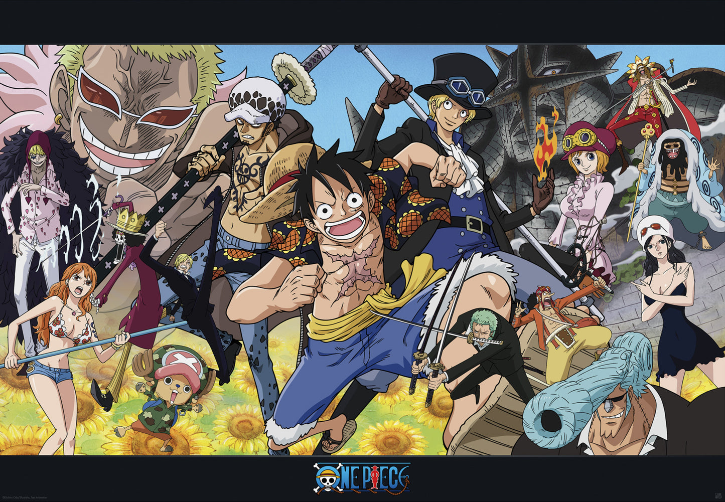 Poster One Piece Dressrosa 91,5x61cm