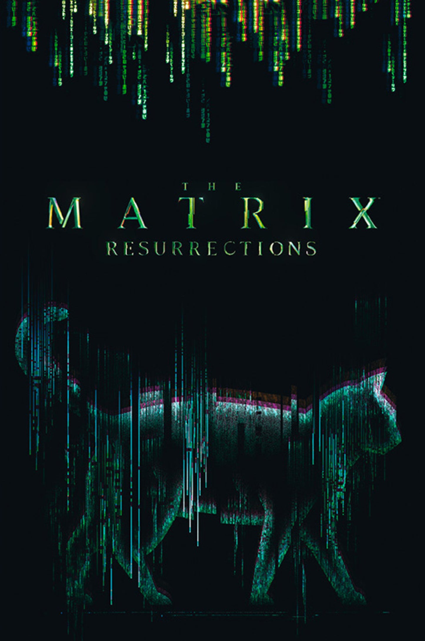 Poster The Matrix Cat 61x91,5cm
