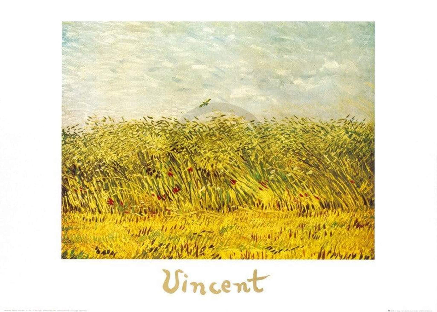 Art Print Vincent Van Gogh - The Wheat Field 70x50cm