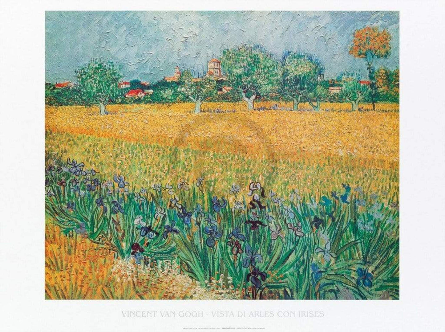 Art Print Vincent Van Gogh - Vista di Arles Con Irises 80x60cm