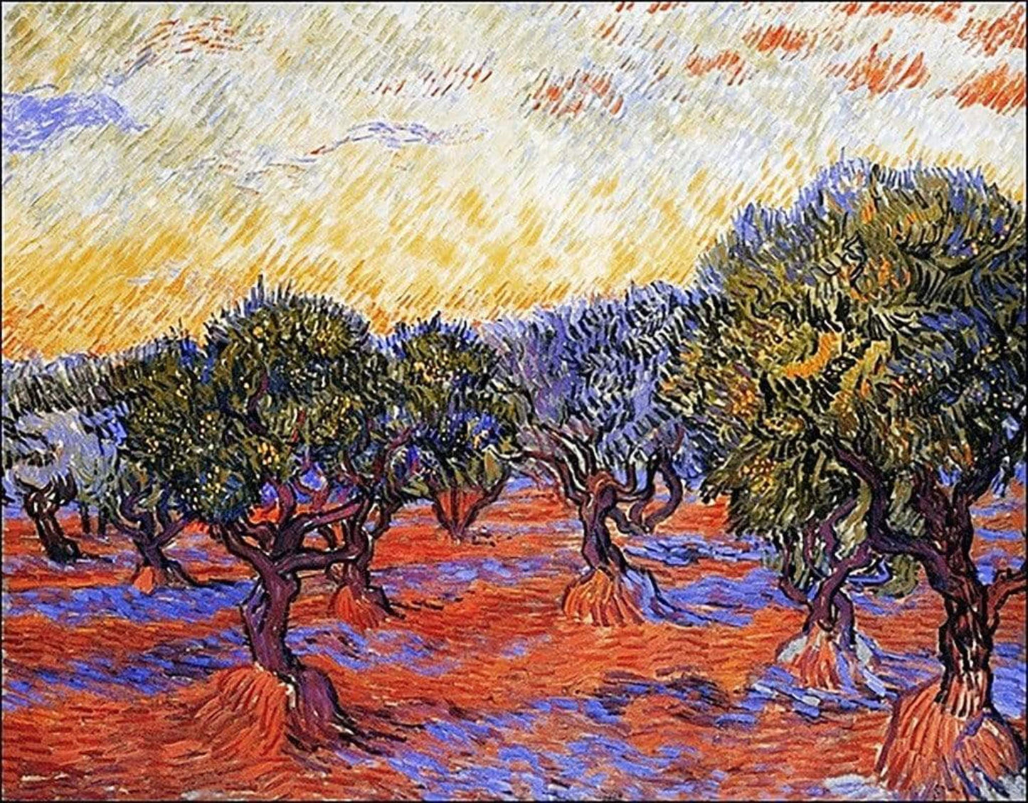 Art Print Vincent Van Gogh - Uliveto 30x24cm