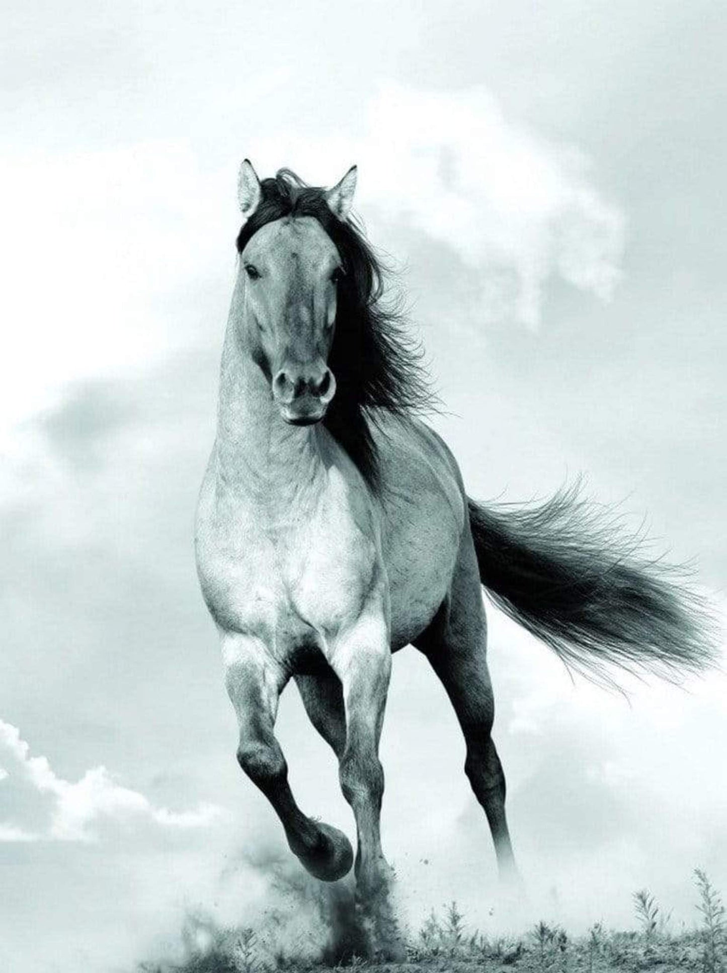 Art Print Blonde Attitude - Mane in the wind 60x80cm
