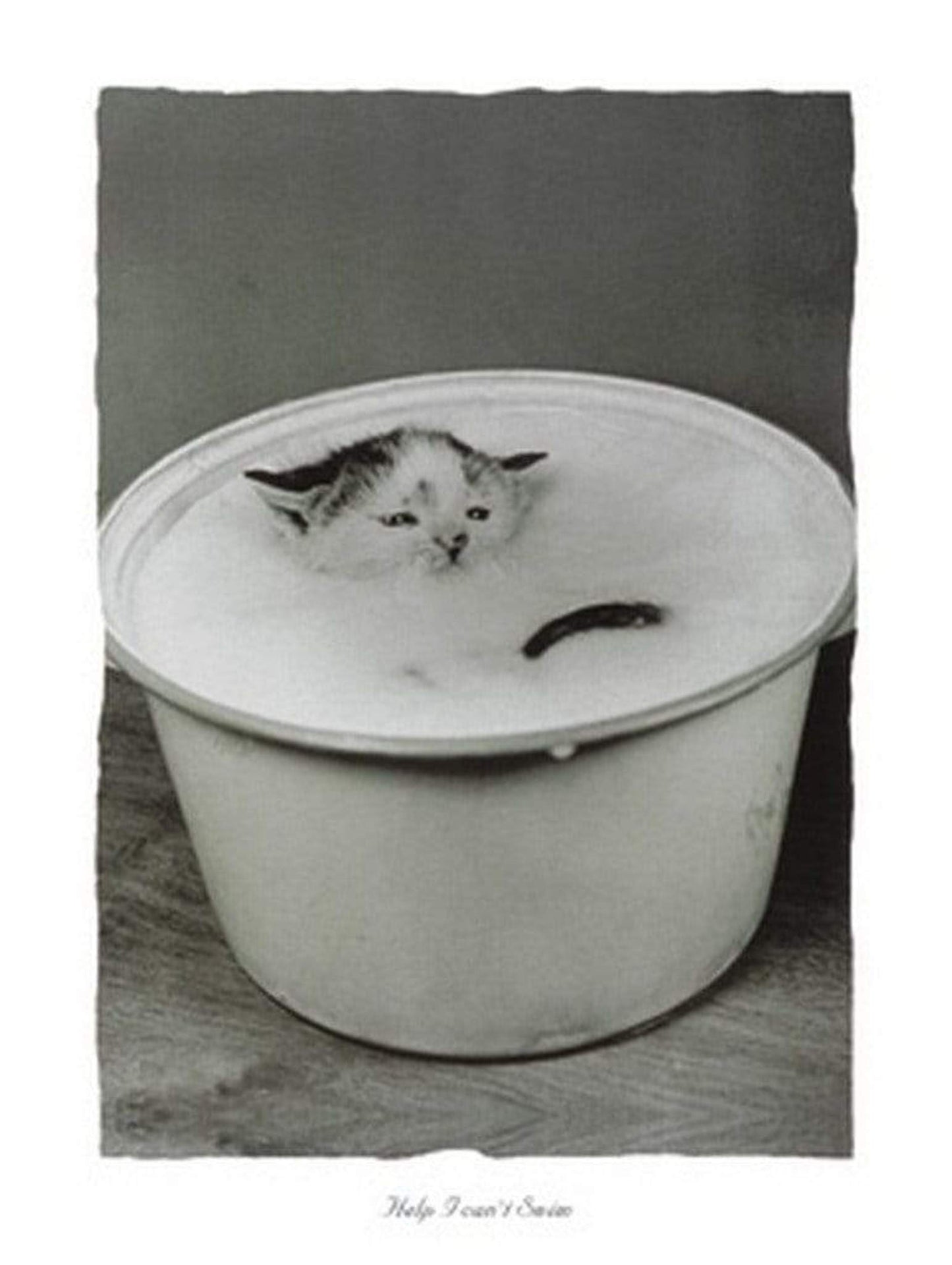 Art Print B. Creative - Help I can't swim 30x40cm