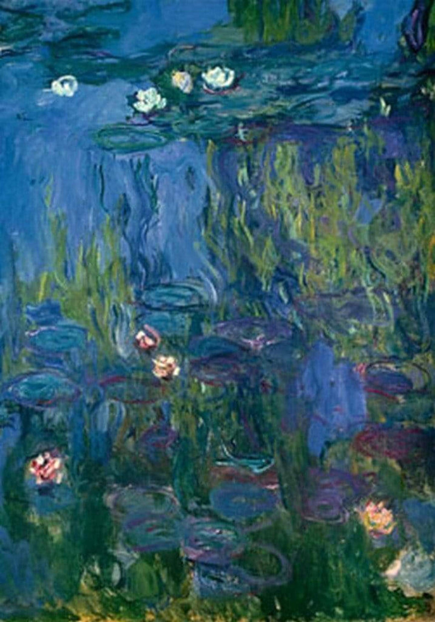 Art Print Claude Monet - Nympheas 70x100cm