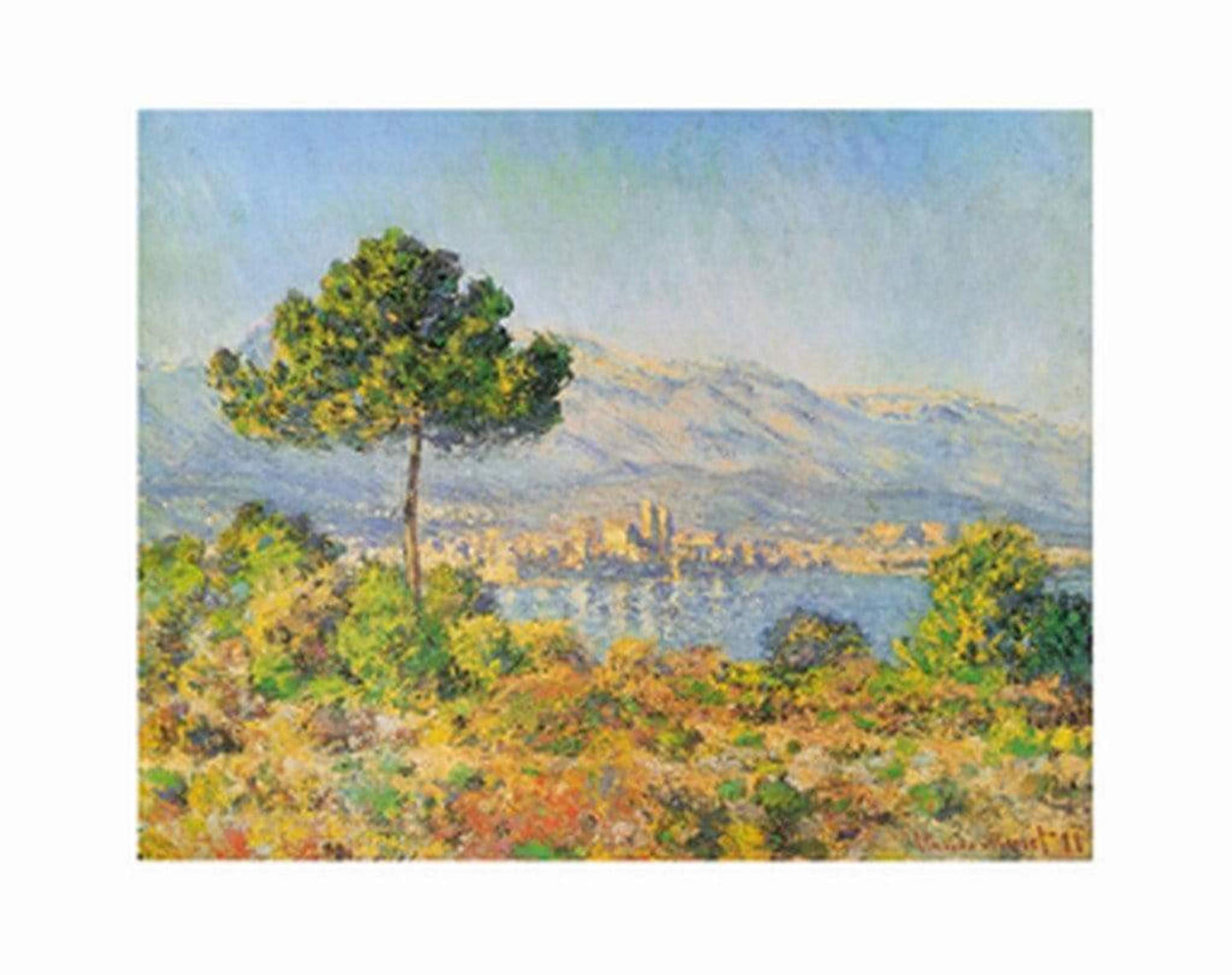 Art Print Claude Monet - Antibes, 1888 71x56cm