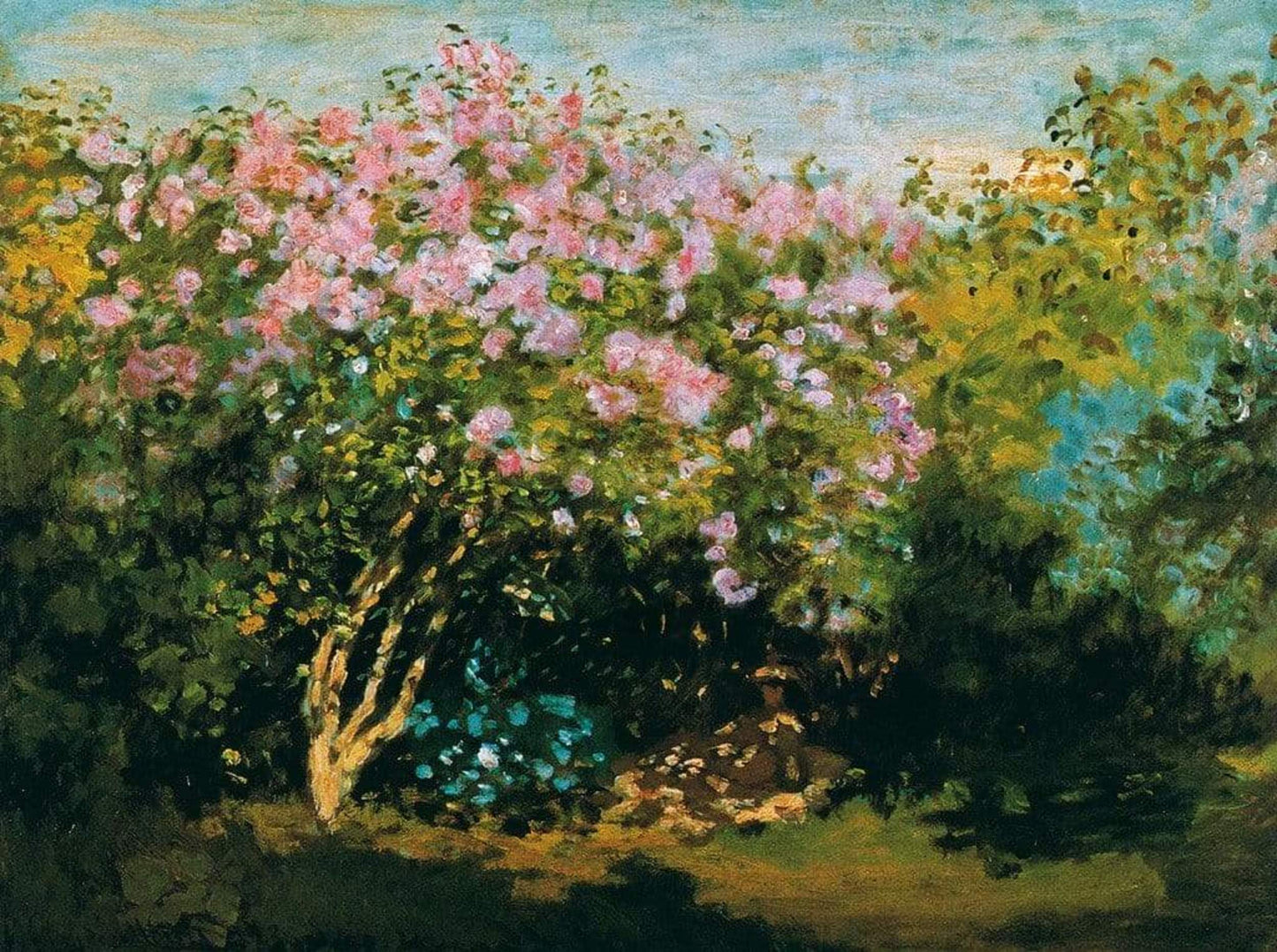 Art Print Claude Monet - Blühender Flieder in der Sonne 80x60cm