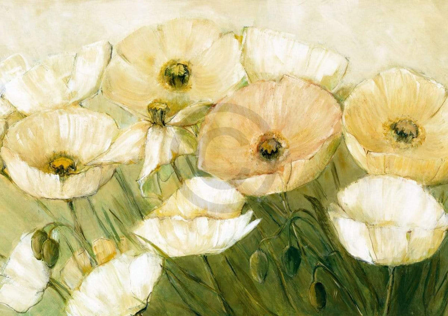Art Print Elisabeth Krobs - Tender Poppies 29.7x21cm
