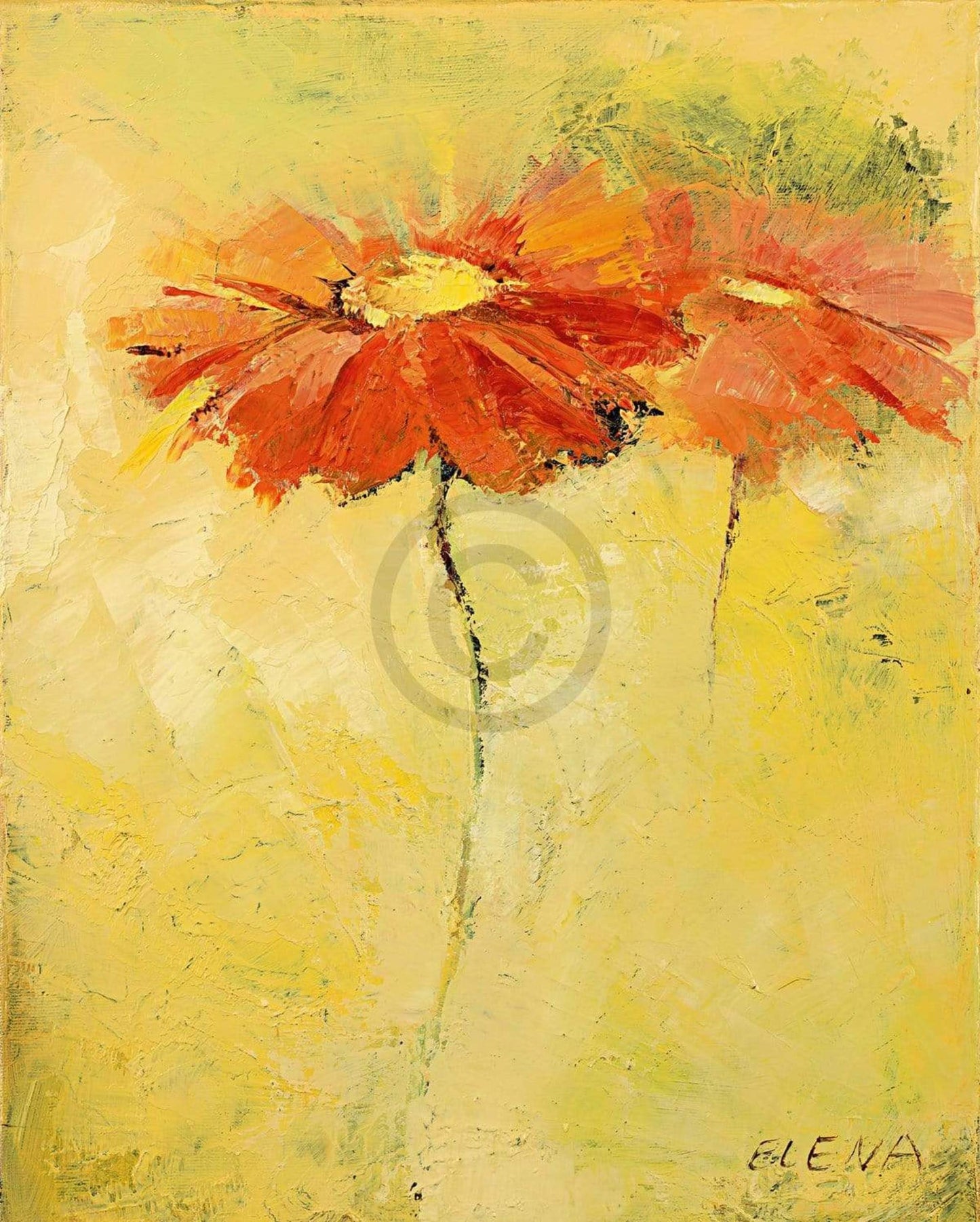 Art Print Elena Filatov - Feldblumen I 40x50cm