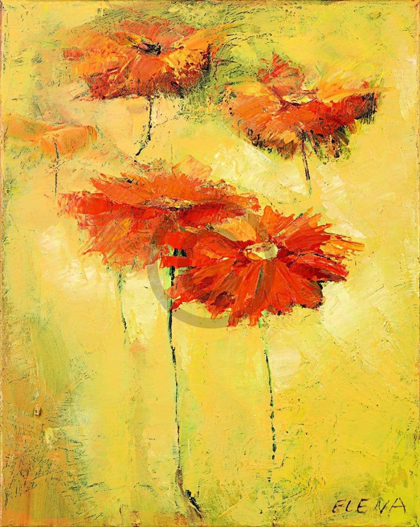 Art Print Elena Filatov - Feldblumen II 40x50cm
