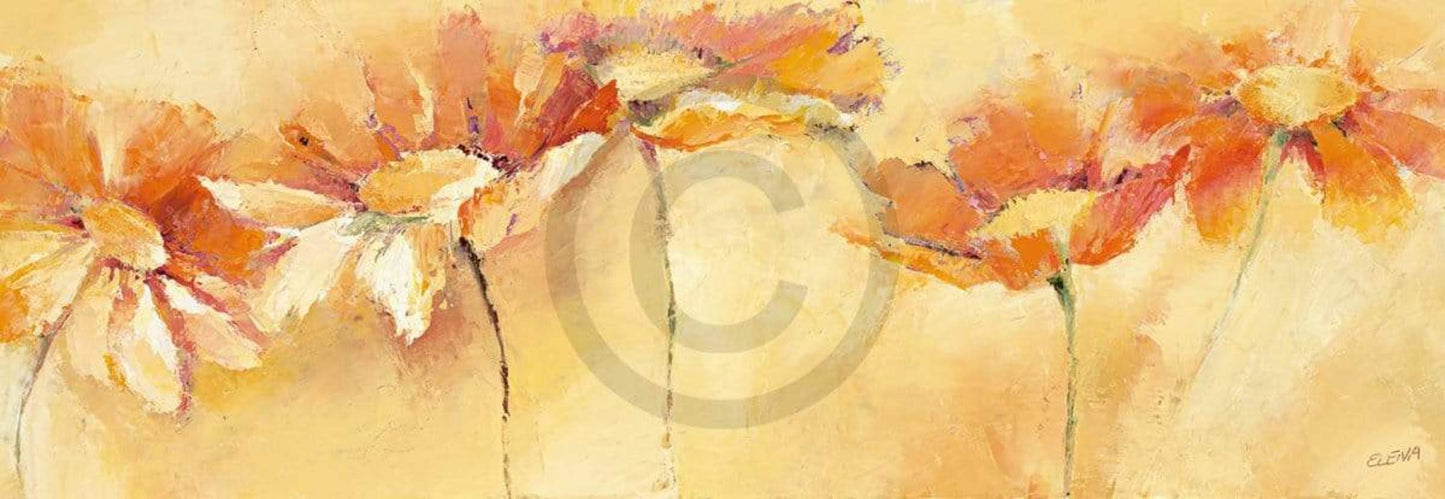 Art Print Elena Filatov - Feldblumenparade 99x34cm