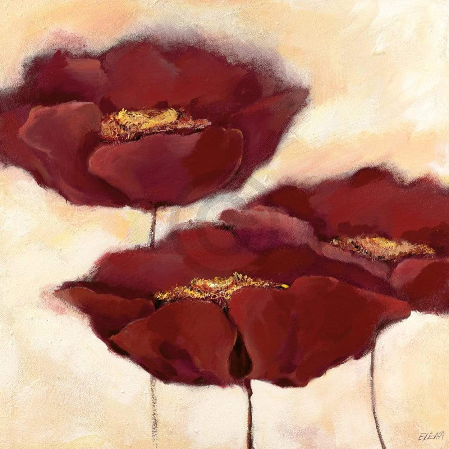 Art Print Elena Filatov - Mohn in Milch II 70x70cm