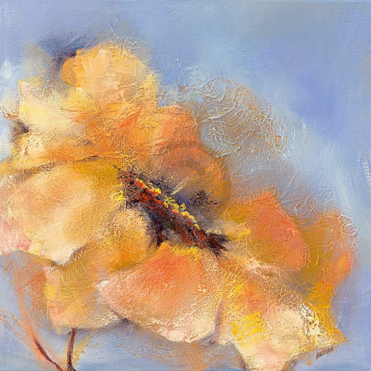 Art Print Elena Filatov - Bright Anemone II 50x50cm