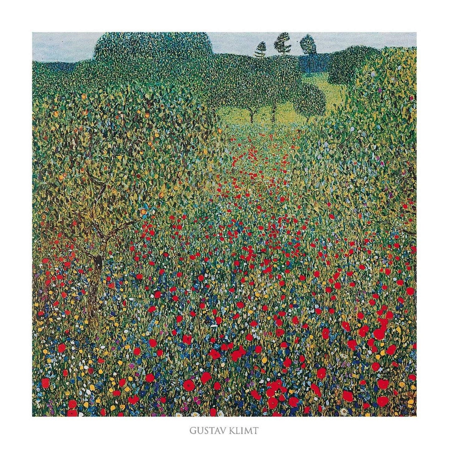 Art Print Gustav Klimt - Campo di papaveri 70x70cm