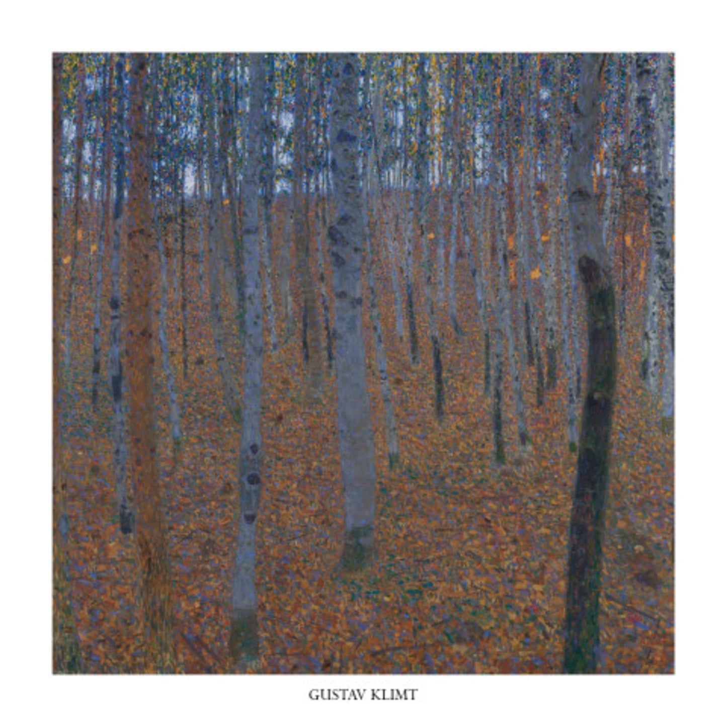 Art Print Gustav Klimt - Faggeto 70x70cm