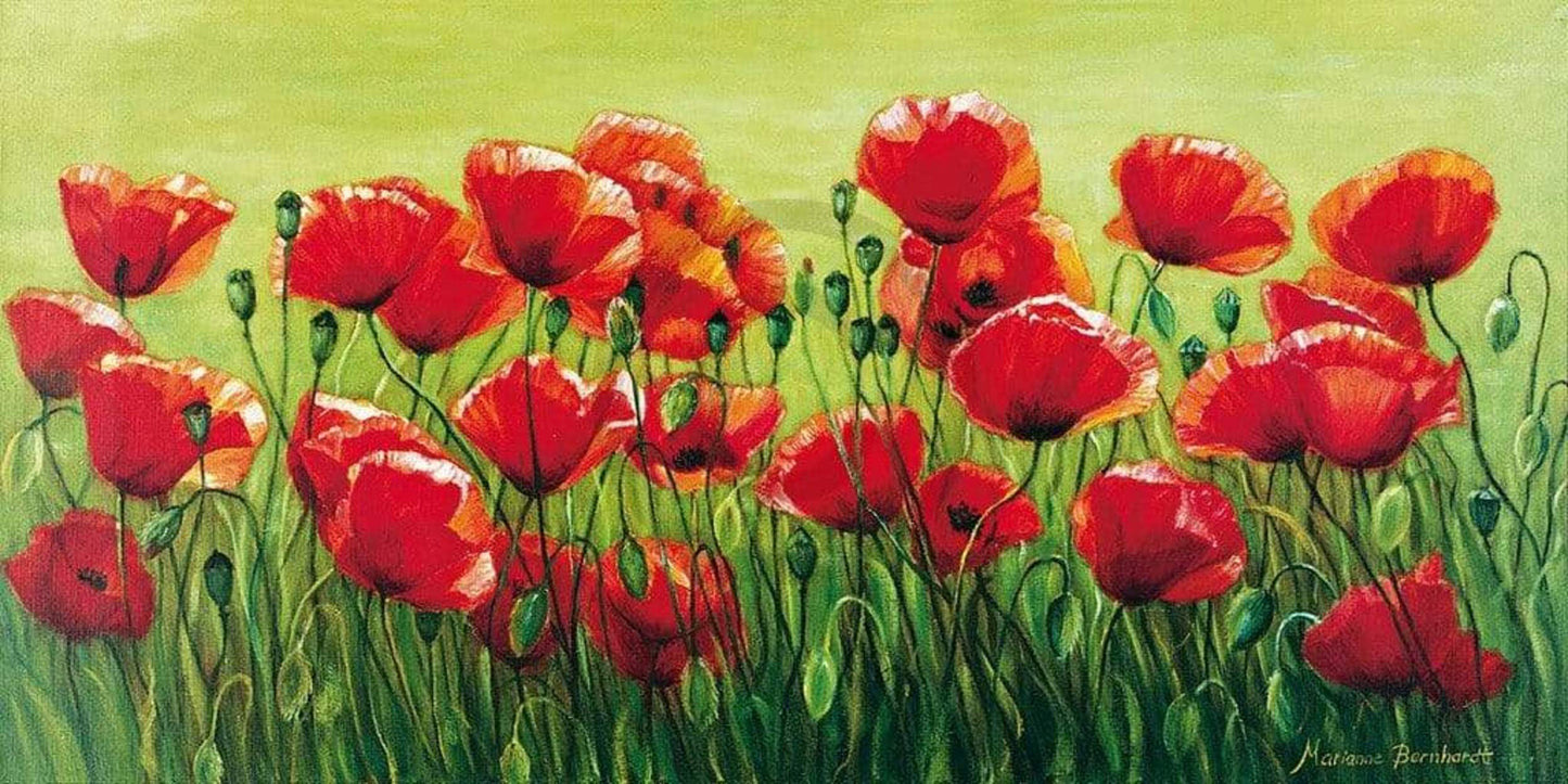 Art Print Marianne Bernhardt - Klatschmohnwiese 100x50cm