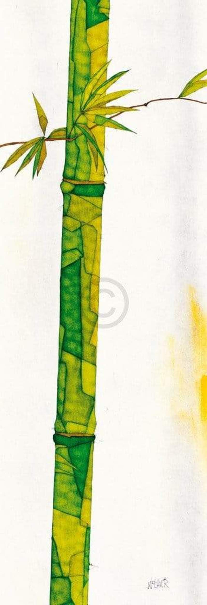 Art Print Michael Ferner - Bambus Duo II 34x99cm