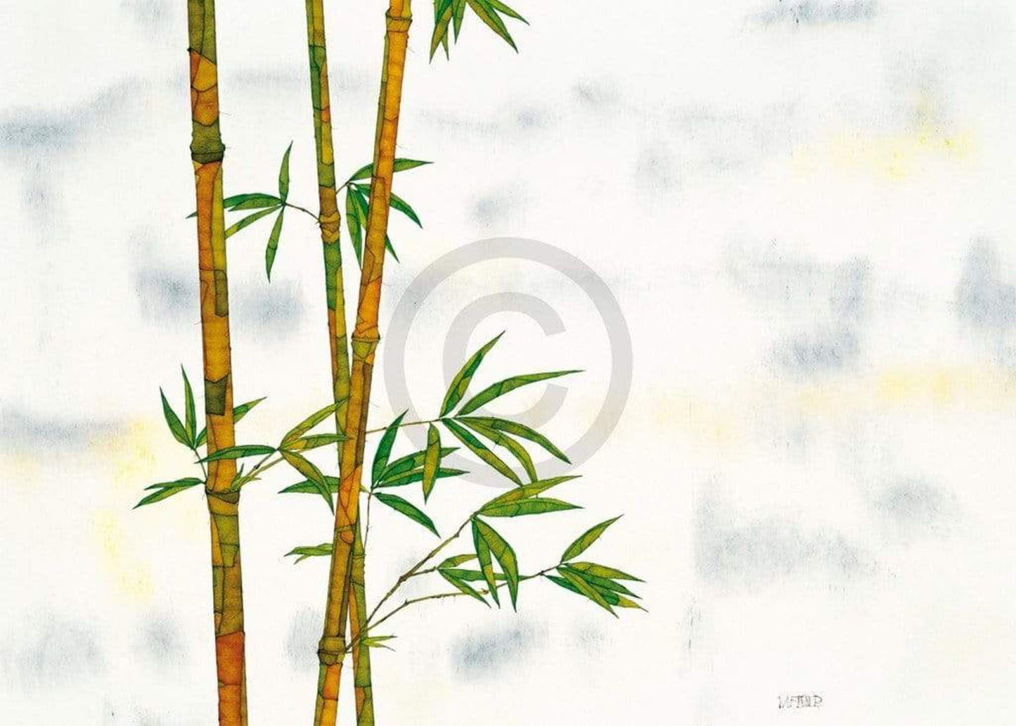 Art Print Michael Ferner - Bambus 70x50cm