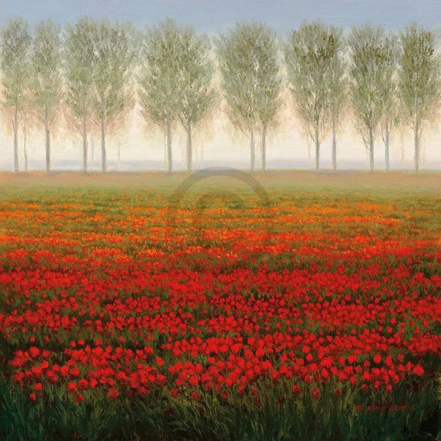 Art Print Park - Morning Mist 68x68cm