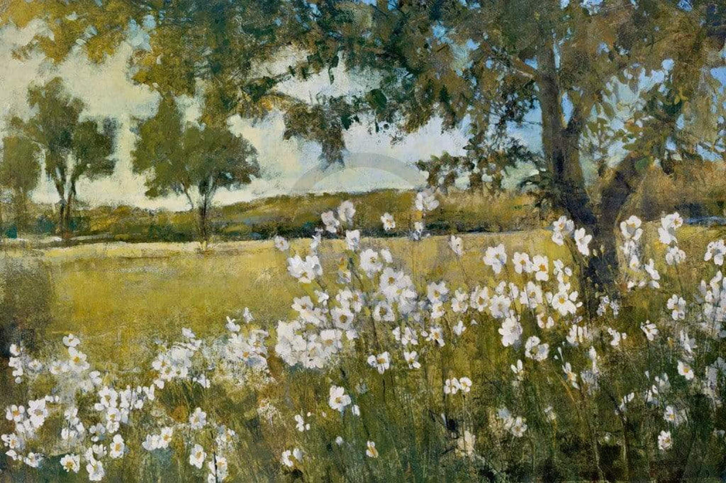 Art Print Patrick - Summer Bloom 91x61cm