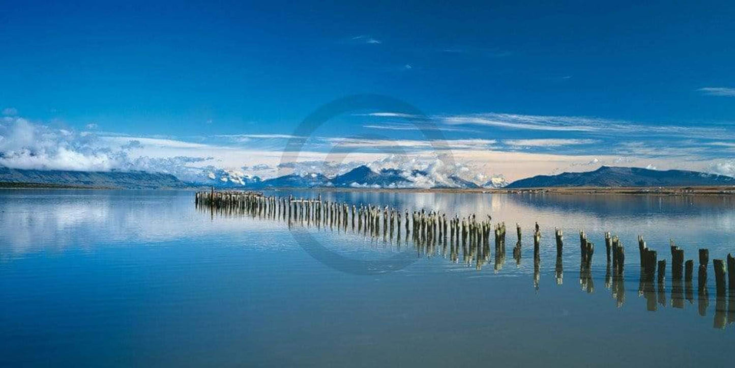 Art Print Popp-Hackner - Kormoräne 100x50cm