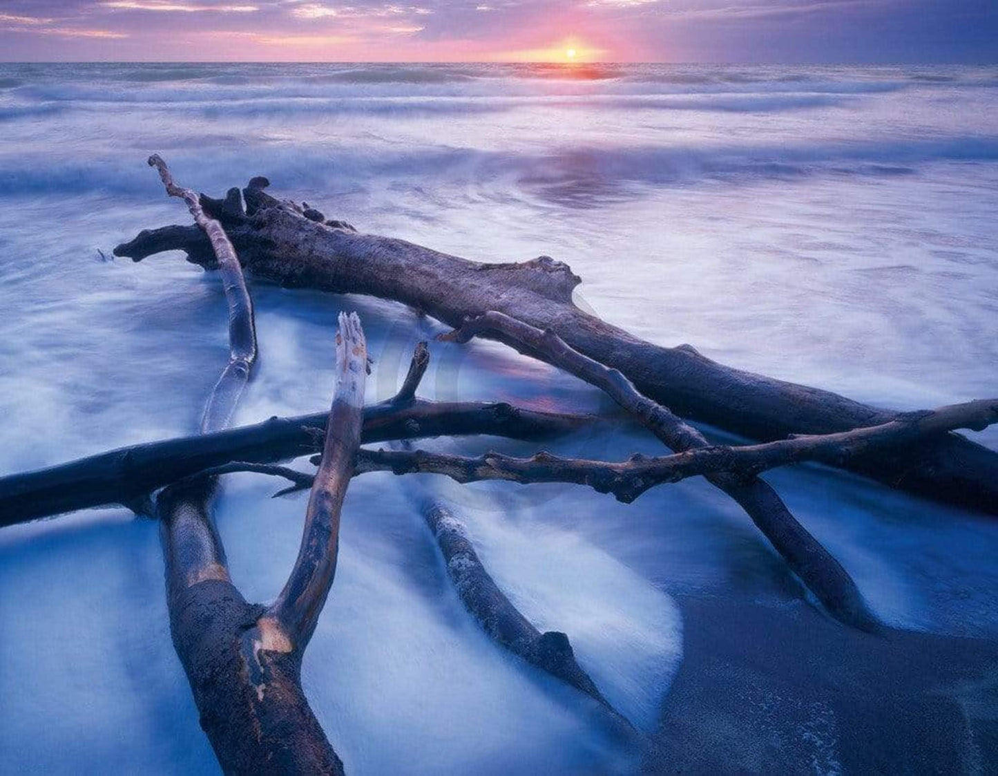 Art Print Popp-Hackner - NPVB Weststrand 90x70cm