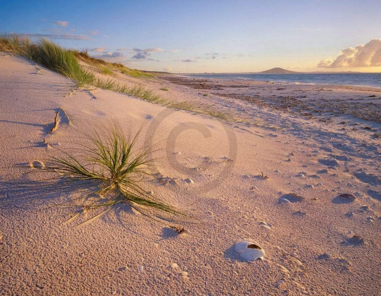 Art Print Popp-Hackner - Northland Karikari Bay 90x70cm