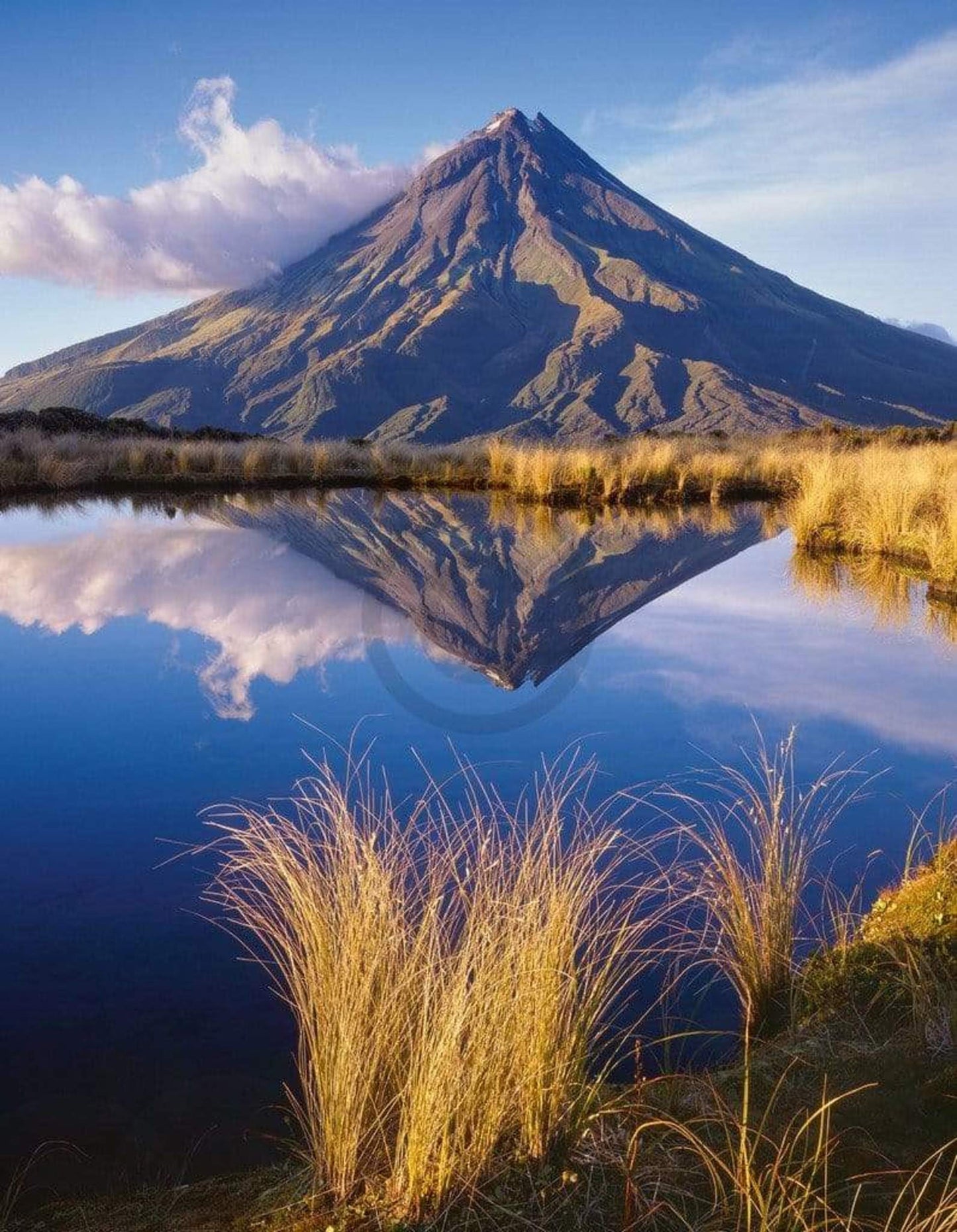 Art Print Popp-Hackner - Mt. Egmont 70x90cm